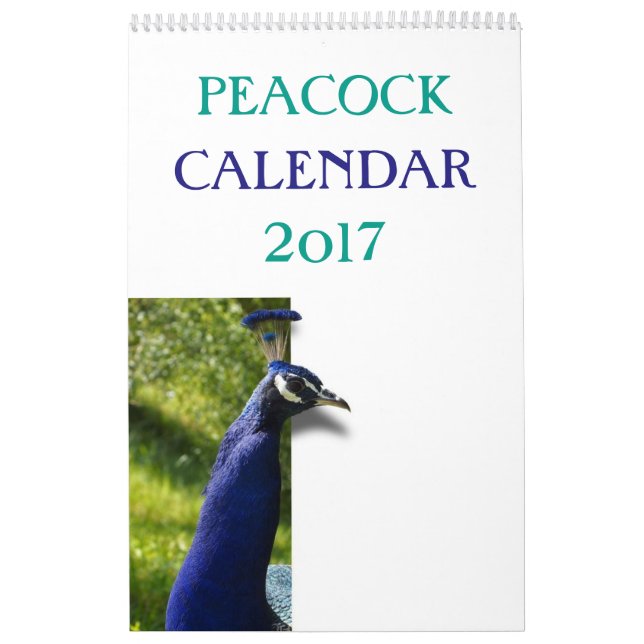 Calendário Pavão colorido 2017 (Capa)