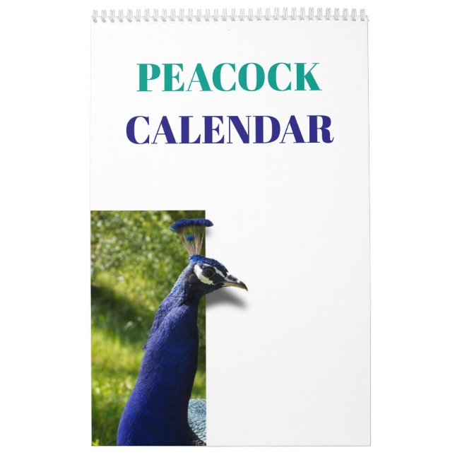 Calendário Pavão colorido 2019 (Capa)