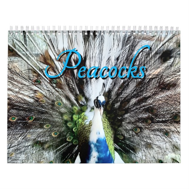 Calendário Peacock Calendar (Capa)