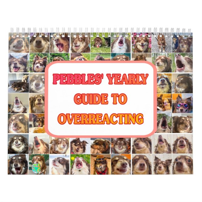 Calendário Pebbles' Calendar (Capa)