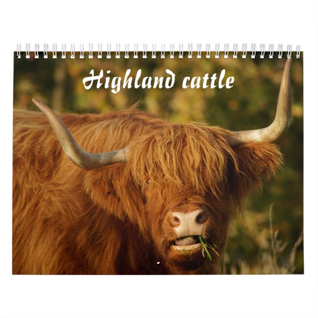Calendário Pecuária escocesa (Capa)