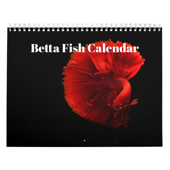 Calendário Peixe-betta 2027 (Capa)