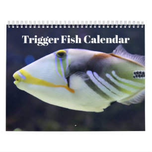Calendário Peixe Disparador 2027