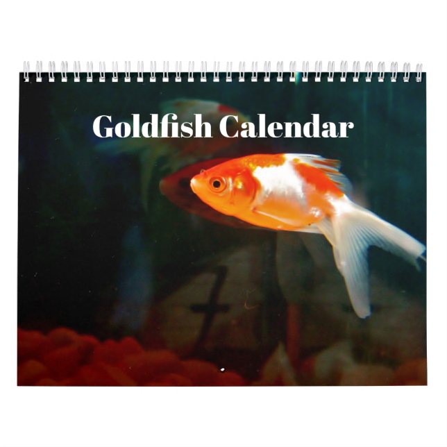 Calendário Peixe dourado 2019 (Capa)