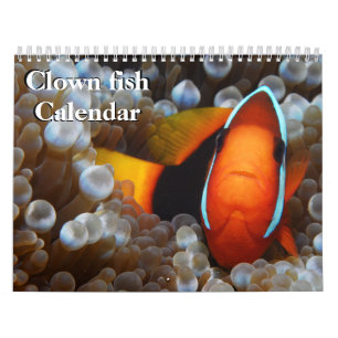 Calendário Peixe Palhaço 2027