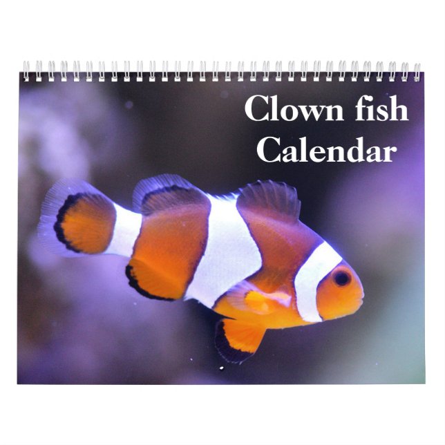 Calendário Peixe Palhaço 2027 (Capa)