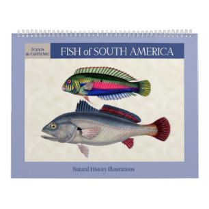Calendário Peixes da América do Sul 2027