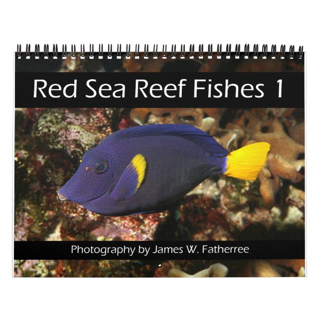 Calendário Peixes de Recifes do Mar Vermelho 1 (Capa)