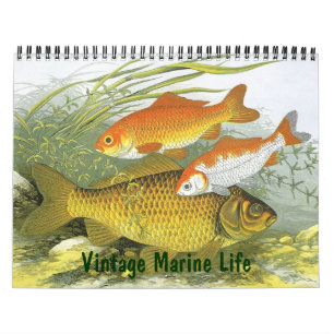 Calendário Peixes, Oceanos e Rios da Vida Marinha Vintage