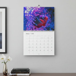 Calendário Peixes Tropicais Coloridos 2026 Paraíso Subaquátic