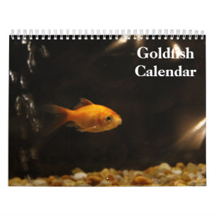 Calendário Peixinho Dourado 2027
