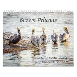 Calendário Pelicano Brown