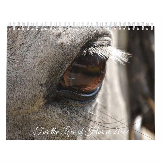 Calendário Pelo Amor dos Cavalos (Capa)