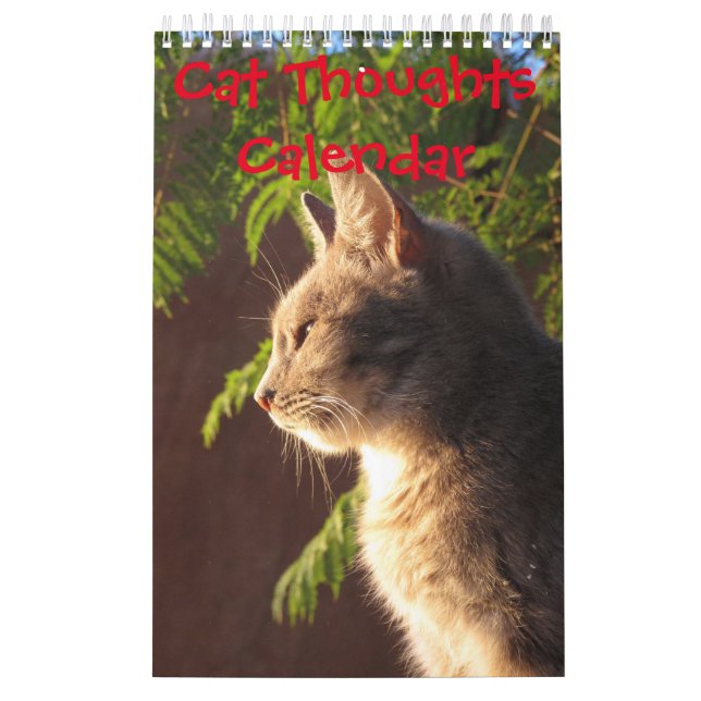 Calendário Pensamentos de Gatos (Capa)