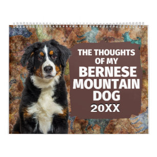 Calendário Pensamentos Hilários do Meu Cão da Montanha Bernês