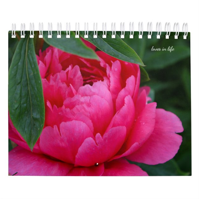 Calendário Peony Flower (Capa)