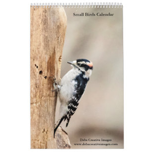 Calendário Pequenas Aves 2024