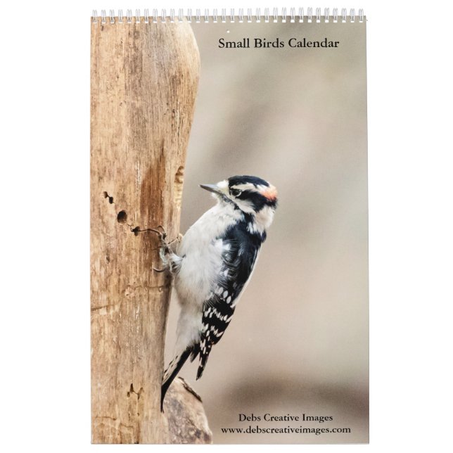 Calendário Pequenas Aves 2026 (Capa)