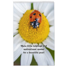 Pequenas joias bonitas e citações motivacionais