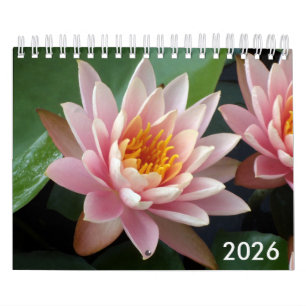 Calendário Pequenas Nenúfares 2026