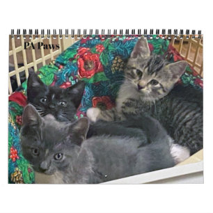 Calendário Personalizado de 12 Meses das Páginas