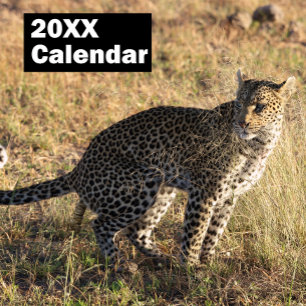 Calendário Personalizado de Animais Defecando 2027