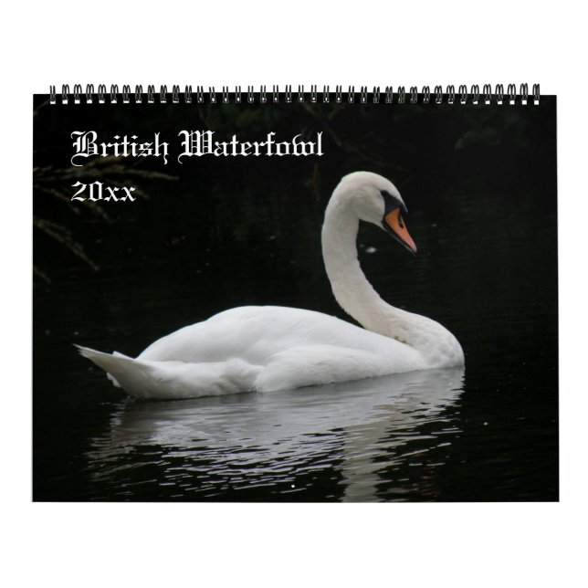 Calendário Personalizado de Aves Aquáticas Britâni (Capa)