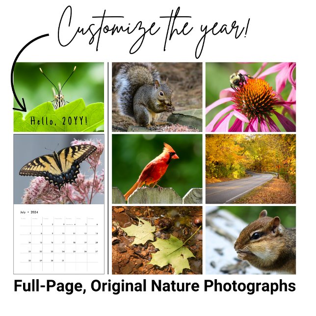 Calendário Personalizado de Fotografia da Vida Sel (Beautiful images of nature fill this wildlife calendar for 2026. )