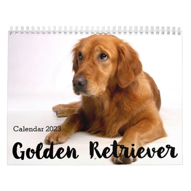 Calendário Personalizado de Retriever de Ouros 202 (Capa)