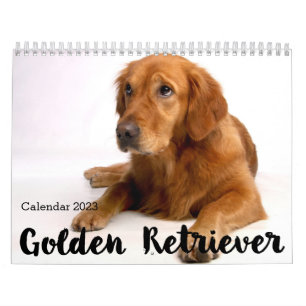 Calendário Personalizado de Retriever de Ouros 202