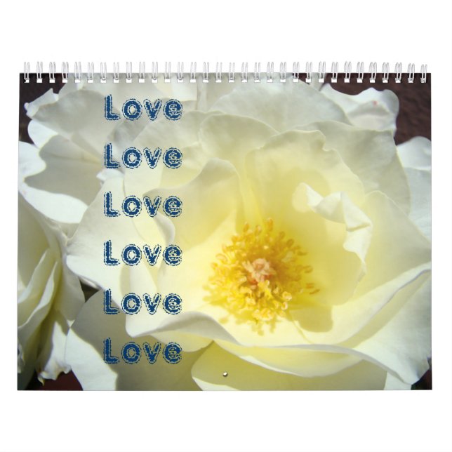 Calendário personalizado Rosa Flores Amor Amor (Capa)