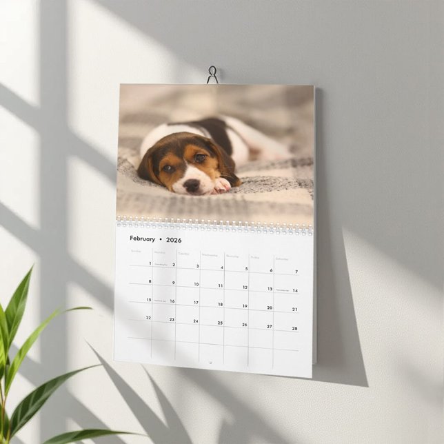 Calendário Personalizável do Cão-Cão-Cão Estoniano (Criador carregado)
