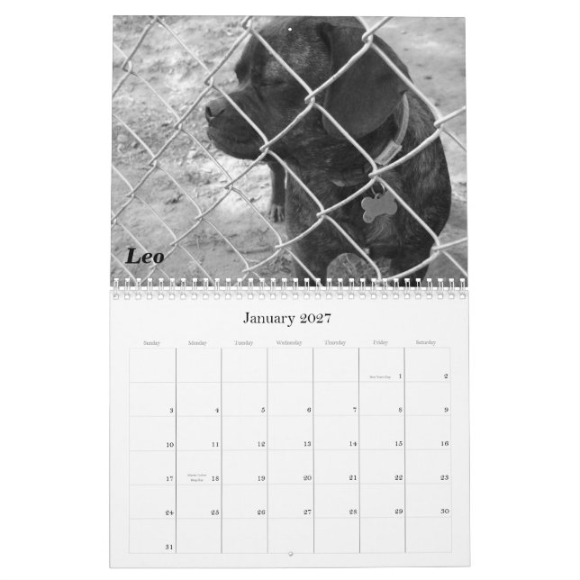 Calendário Pet 2011: Gatos e Cães (Jan 2027)