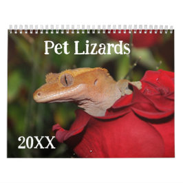 Calendário Pet Lizards