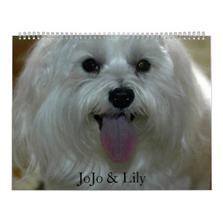 Calendário Pet Personalizado