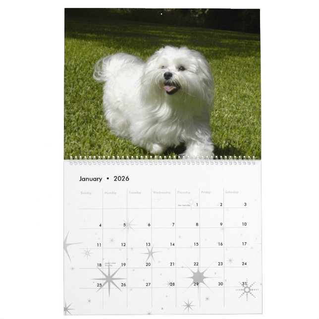 Calendário Pet Personalizado (Jan 2026)