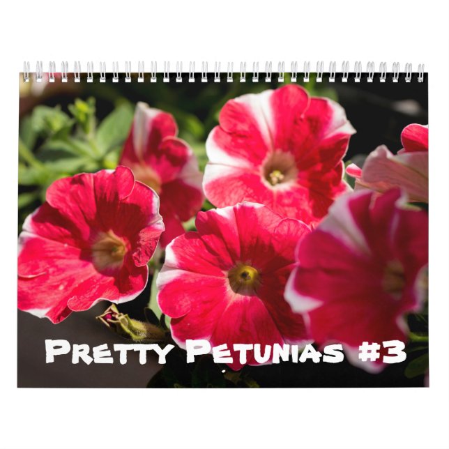 Calendário - Petunias Bonito (Capa)