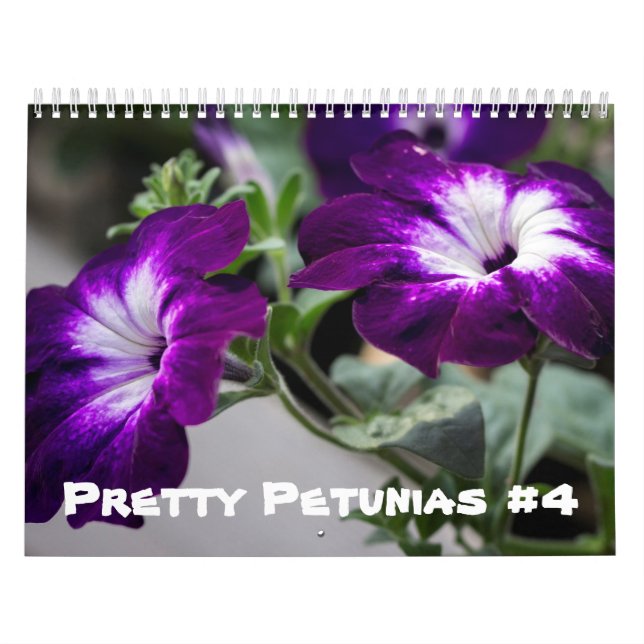 Calendário - Petunias Bonito nº 4 (Capa)