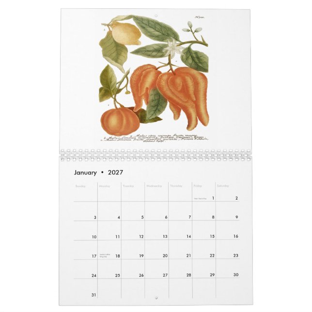 Calendário Phytanthoza Iconographia (Jan 2027)