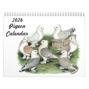 Calendário Pigeon 2026