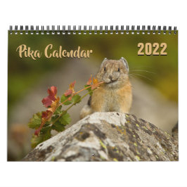 Calendário PIka 2022