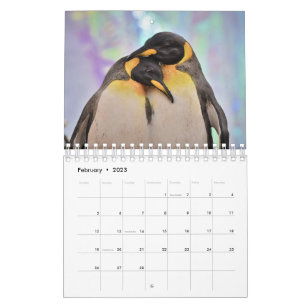 Calendário Pinguim