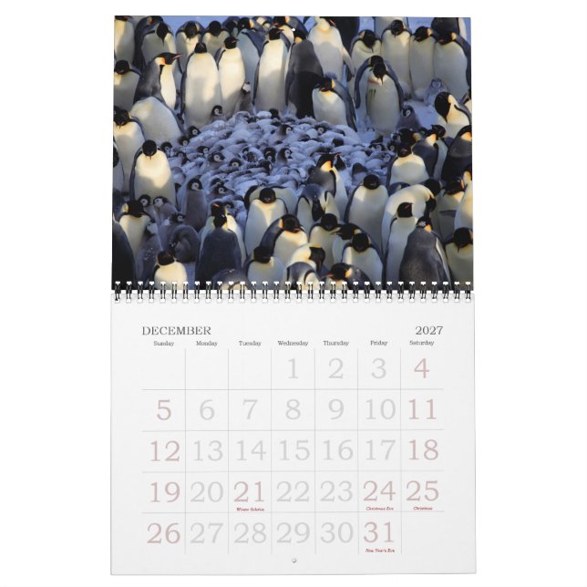 Calendário Pinguins (Dez 2027)