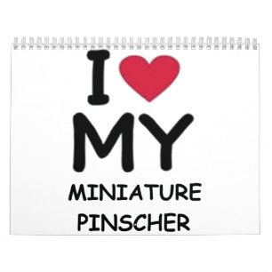 Calendário Pinscher Miniatura