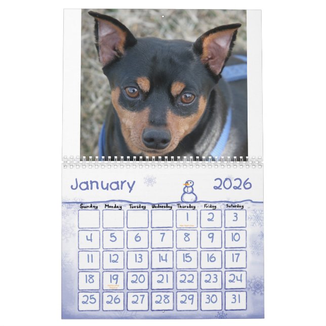 Calendário Pinschers diminutos! (Jan 2026)