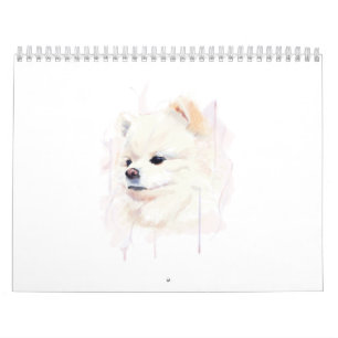 Calendário Pintura em Aquarela de Cachorro Pomerânia Fofa