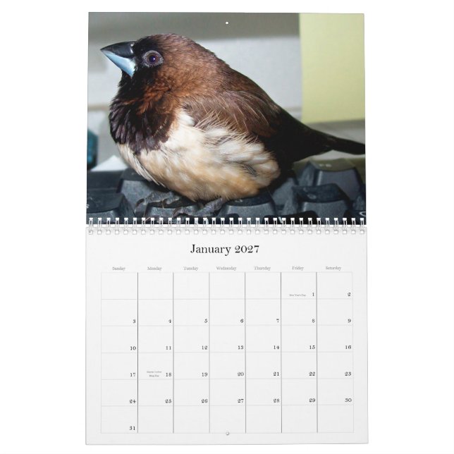 Calendário Pipi o passarinho adorável (Jan 2027)