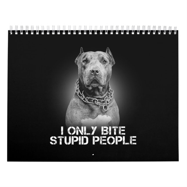Calendário Pitbull Dog (Capa)