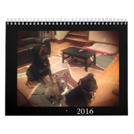 Calendário Pitbull e amor de Rottweiler