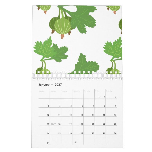 Calendário Planta de Physalis Fruta Exótica Physalis (Jan 2027)